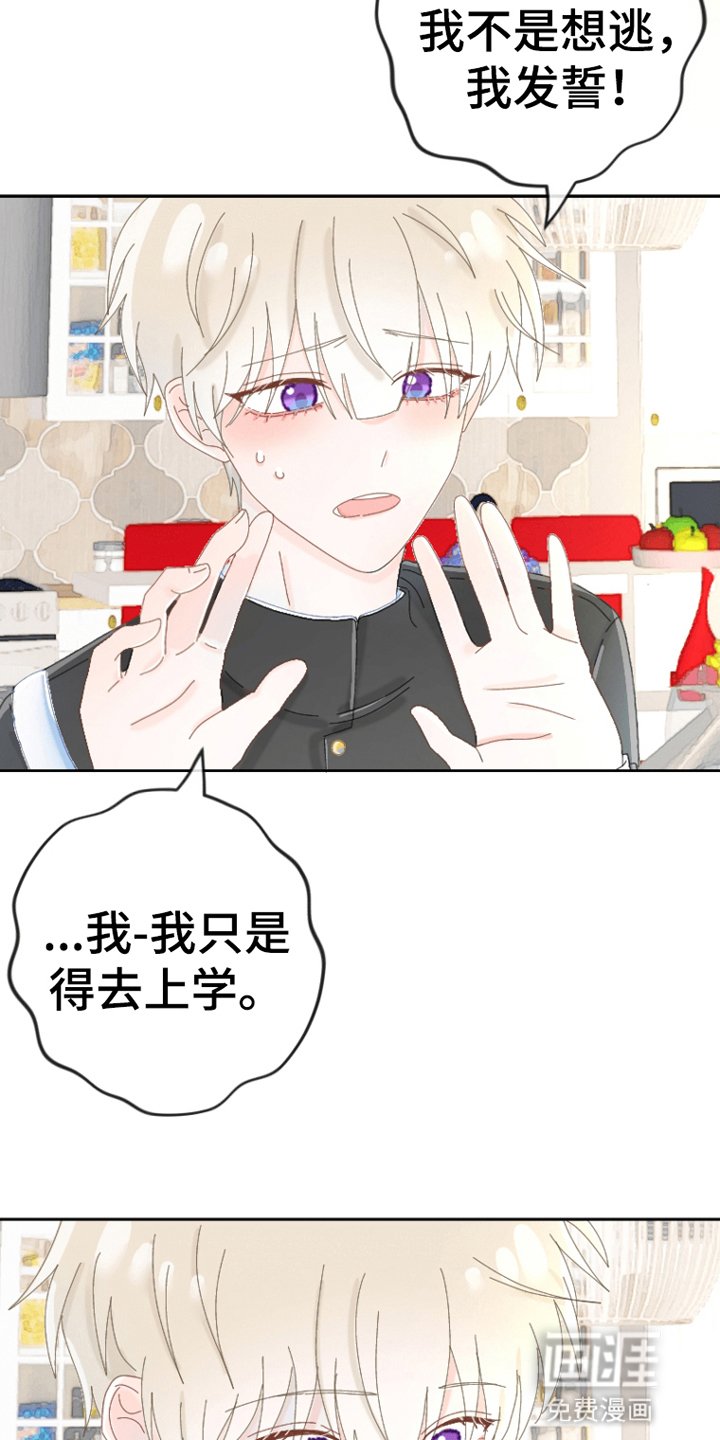 第5章：公主