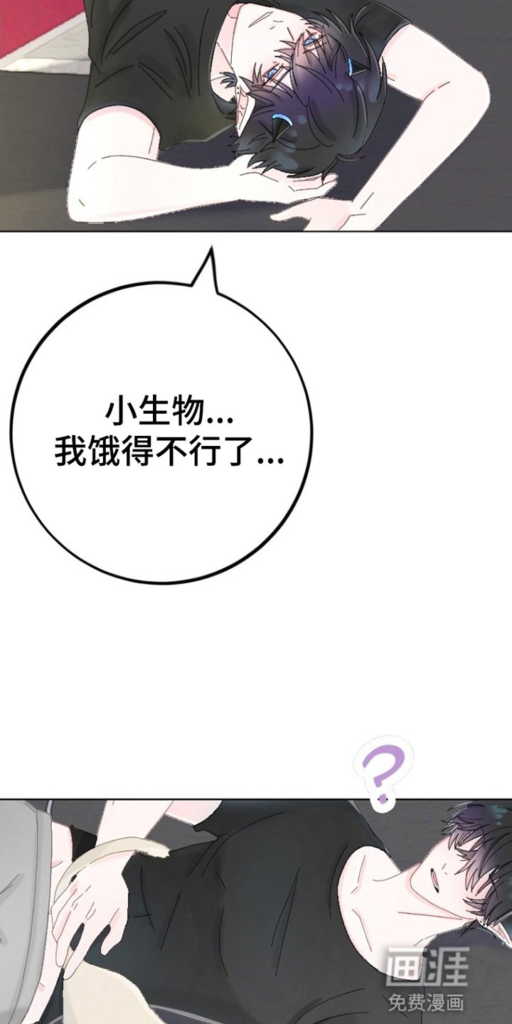 第6章：出门