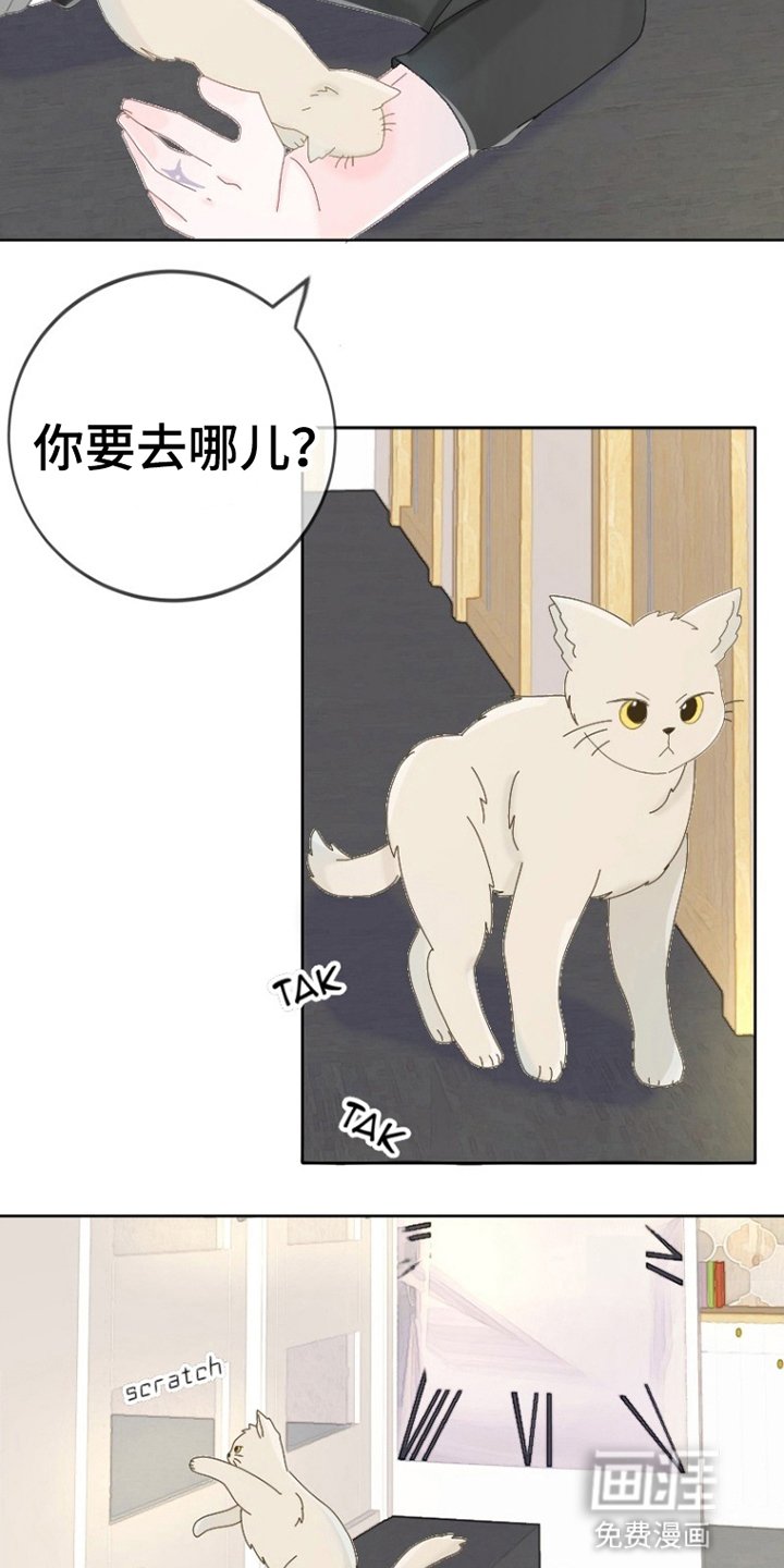 第6章：出门