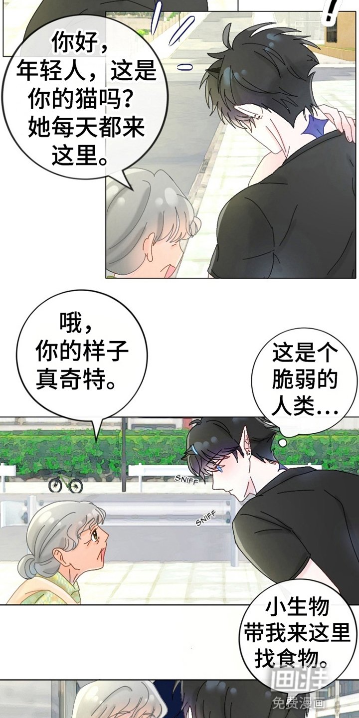 第6章：出门