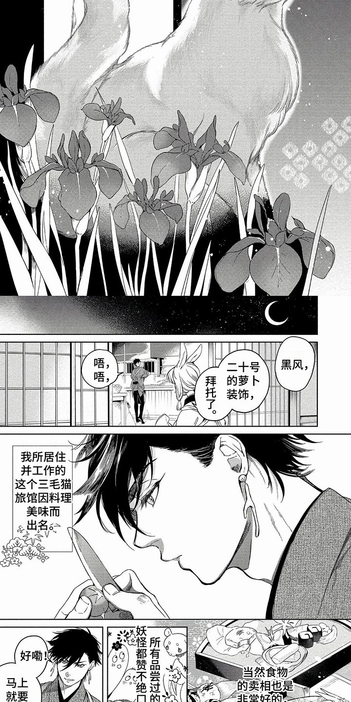 第1章：灾厄之狐