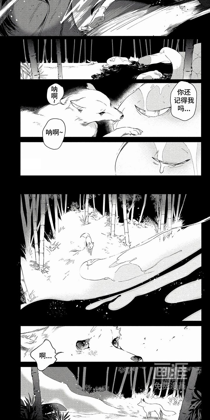 第13章：失败