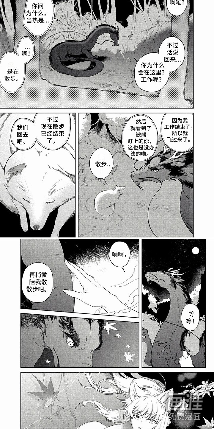 第22章：散散步
