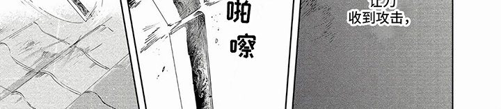 第33章：对决