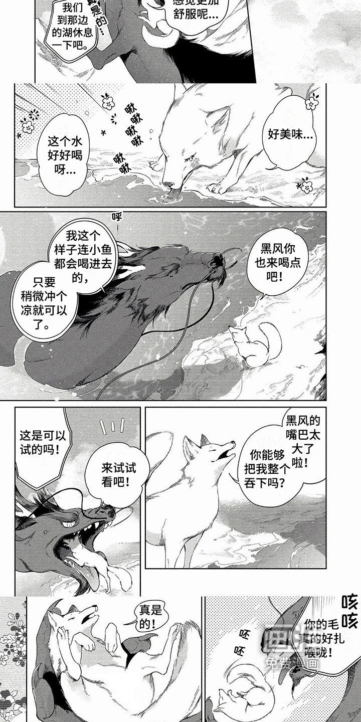 第8章：寻找