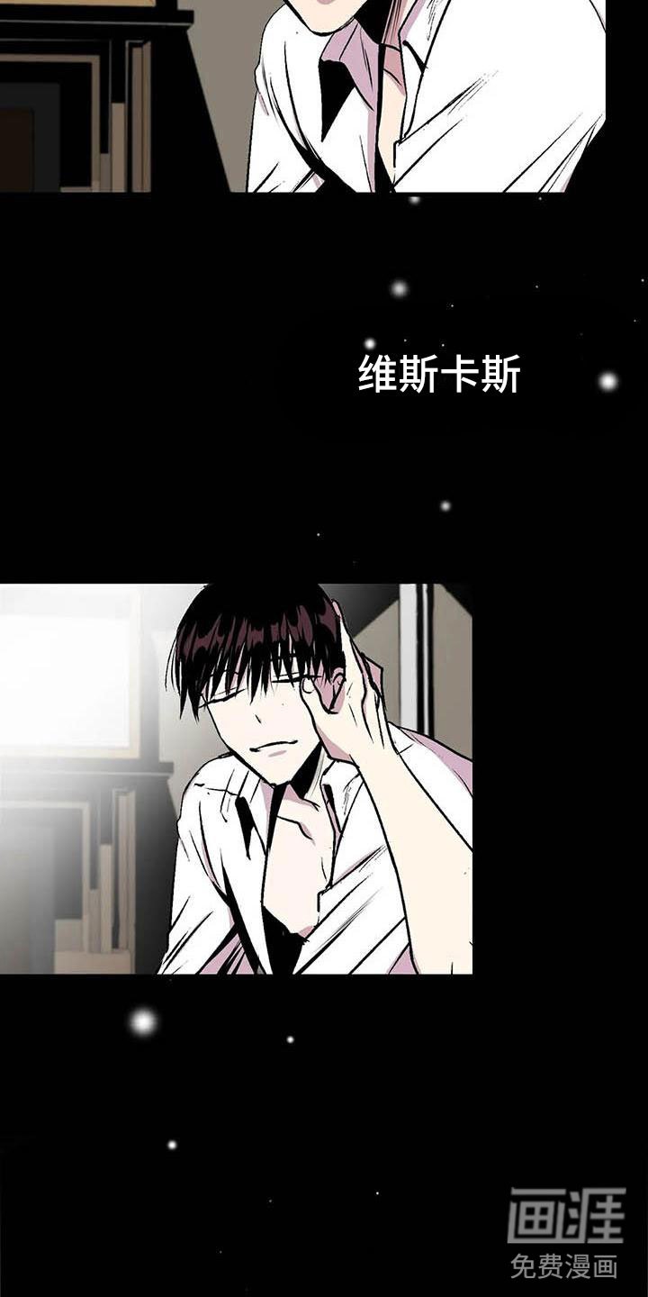 第11章：荒唐的真相