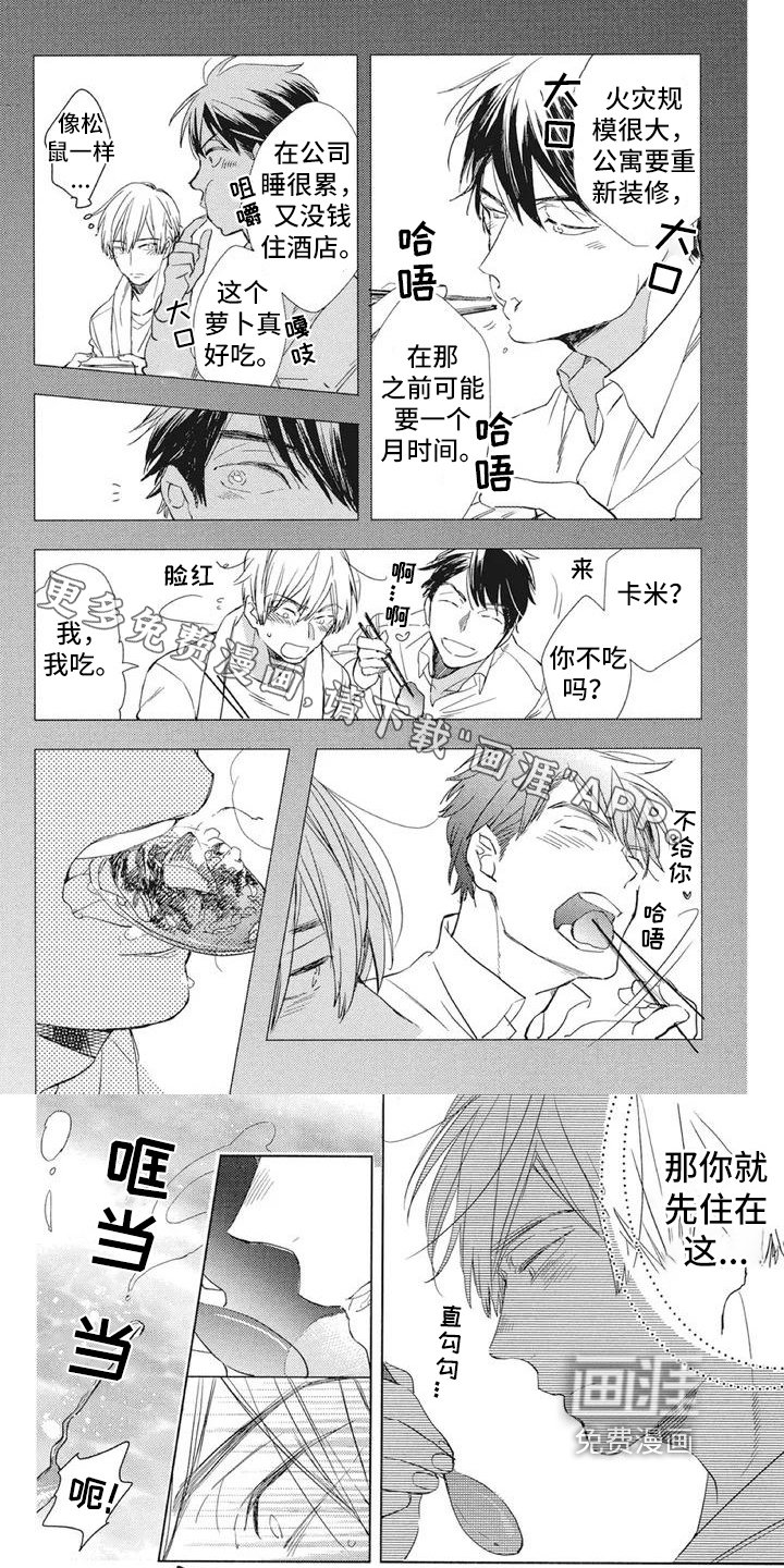 第6章：熟悉