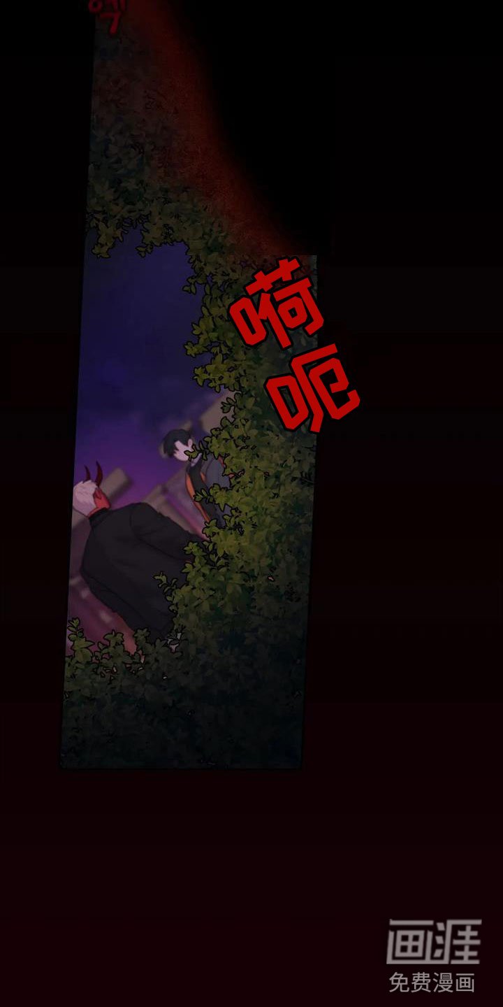 第11章：作战大成功