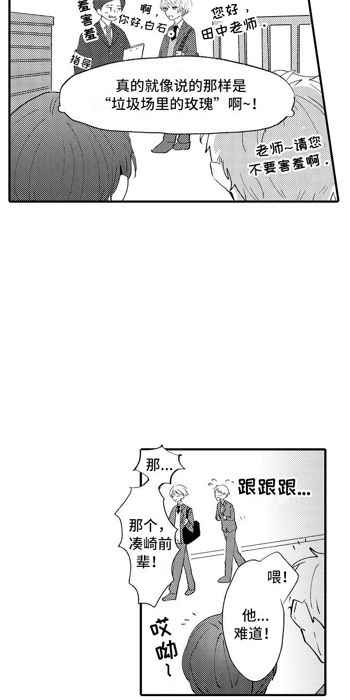 第1章：白莲花