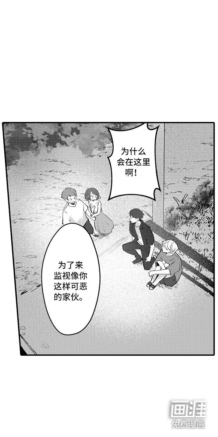 第20章：烟花棒