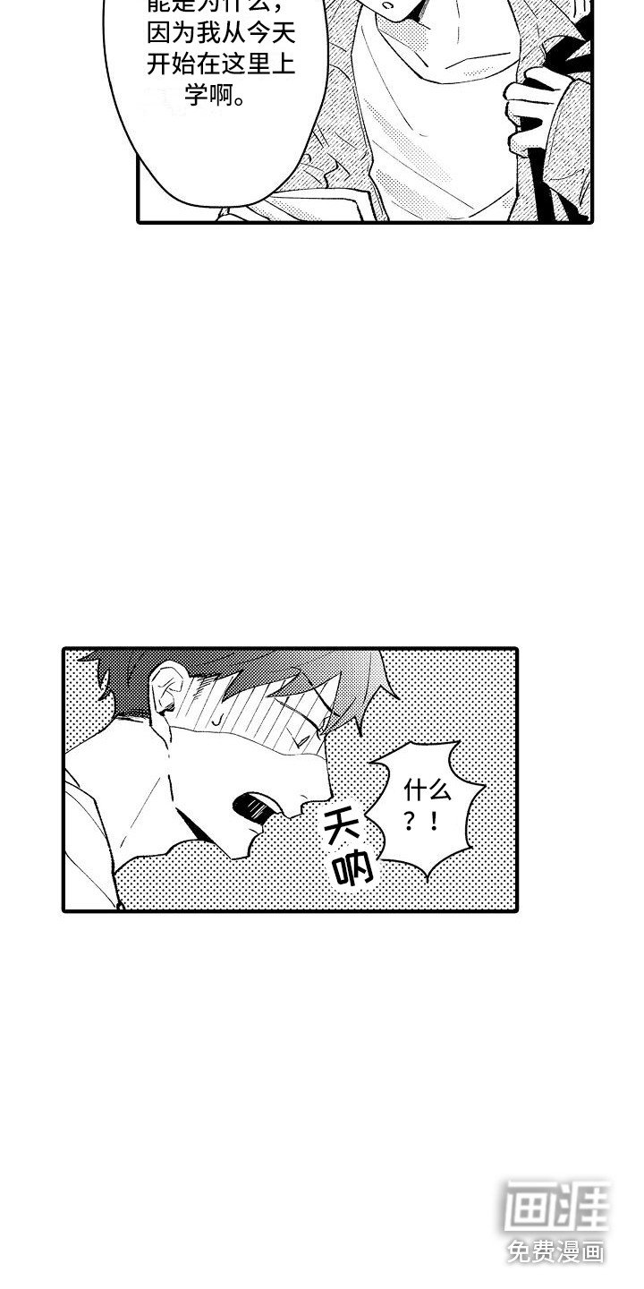 第4章：帮手社团