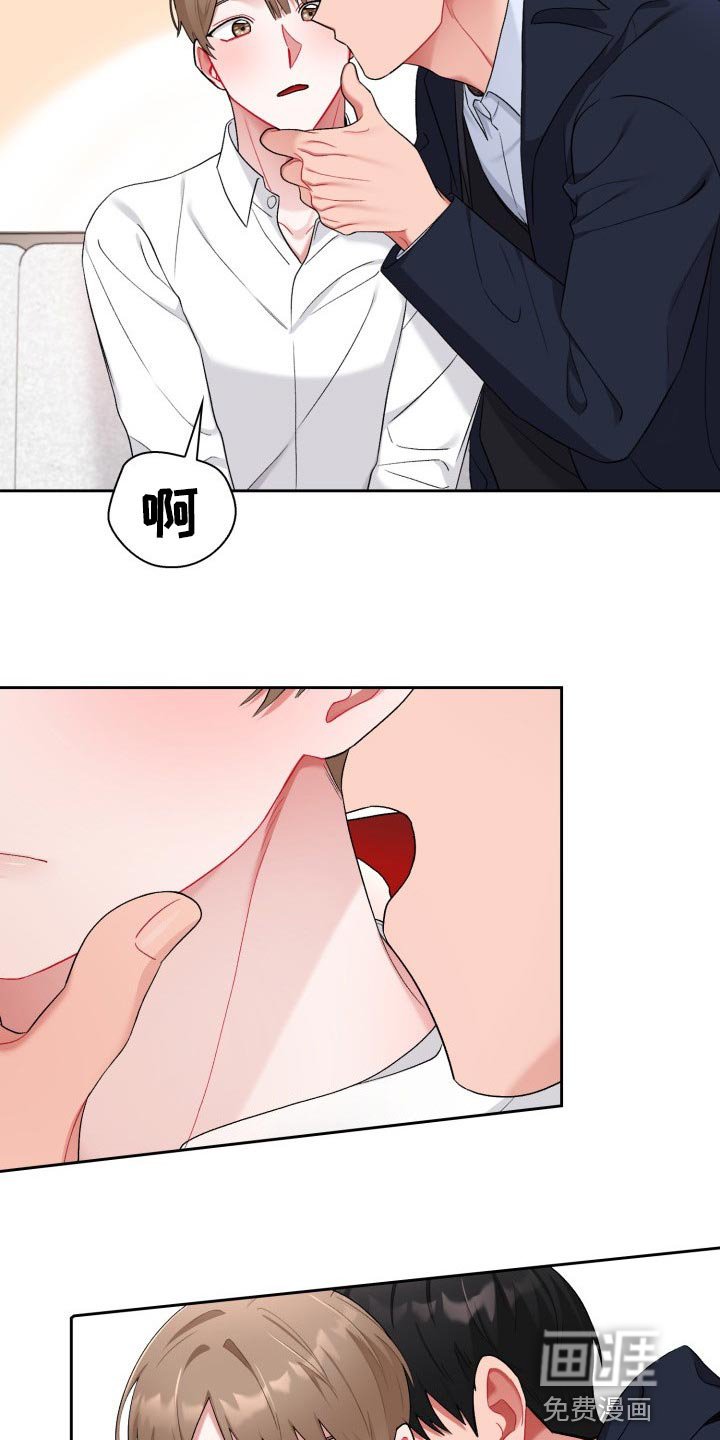 第17章：看电影