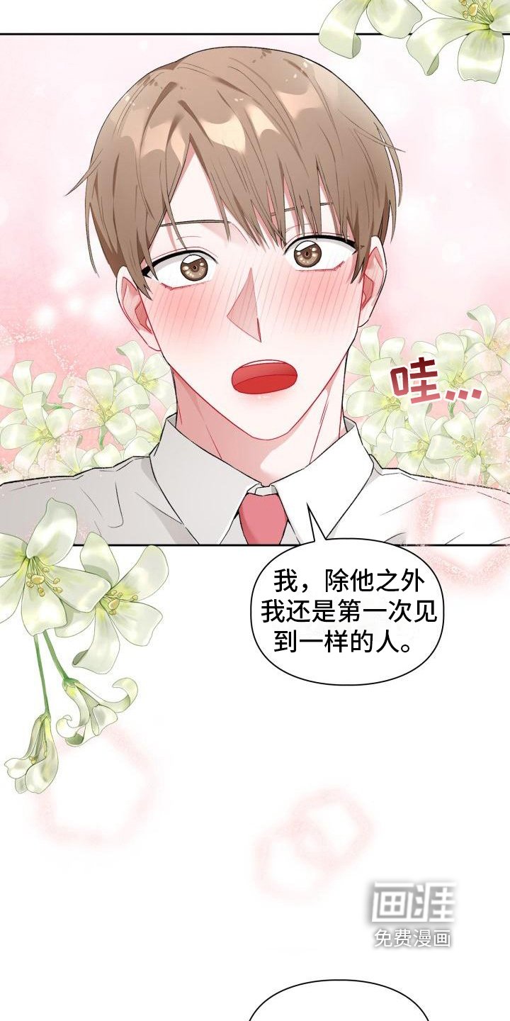 第4章：承认