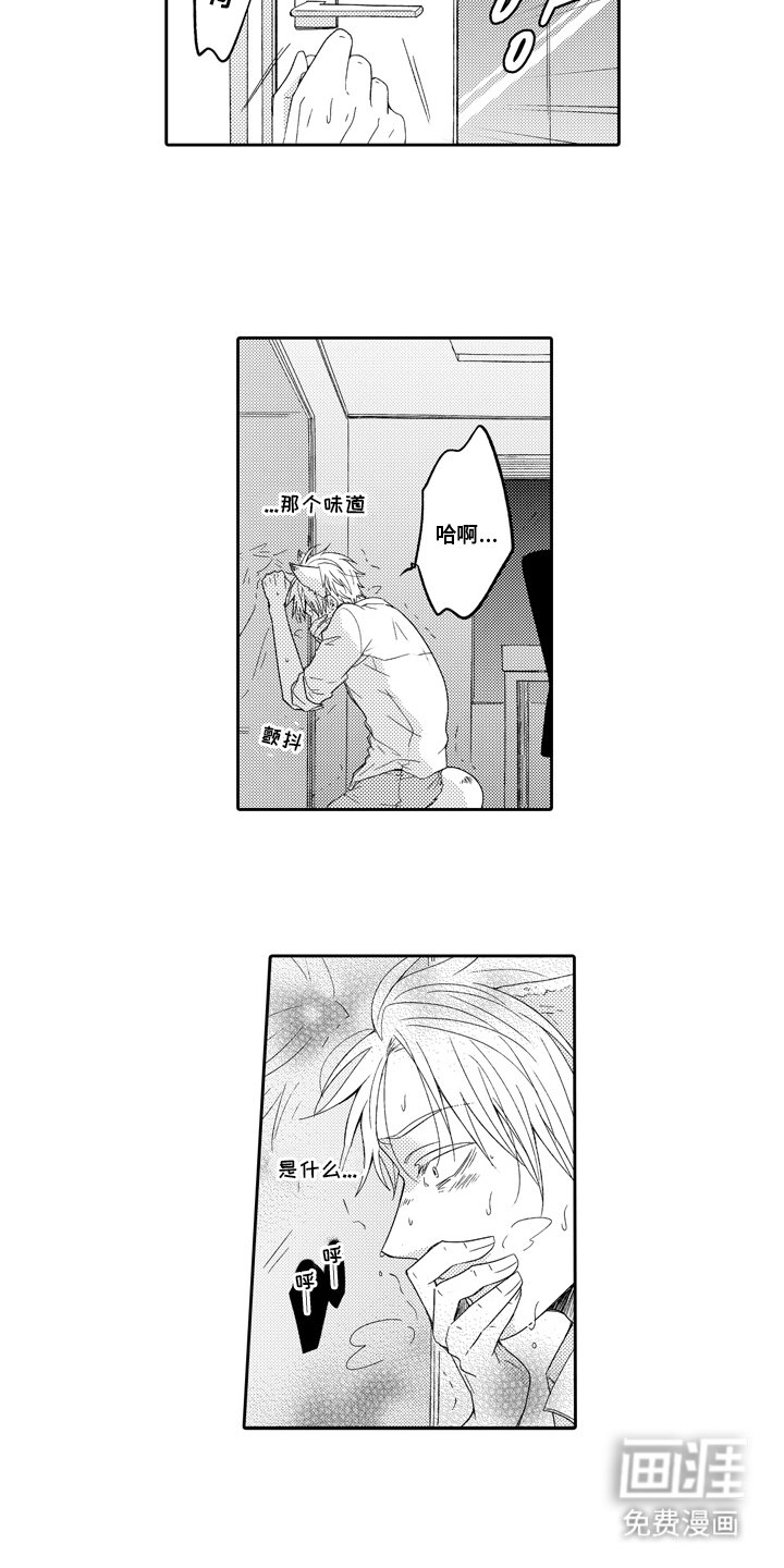 第3章：兔子