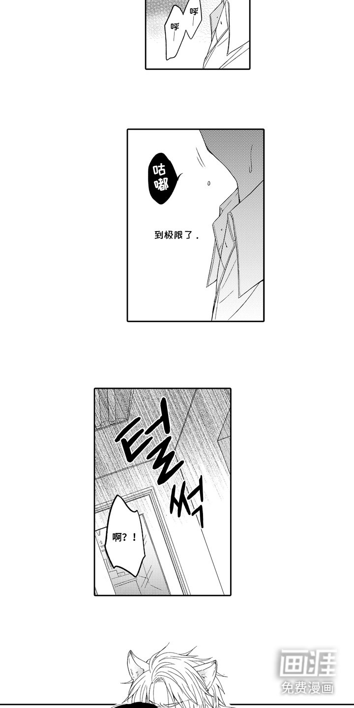 第3章：兔子