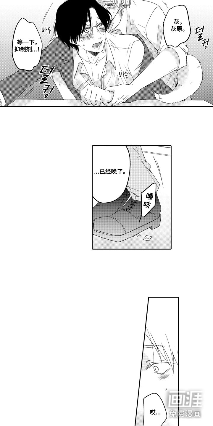 第3章：兔子