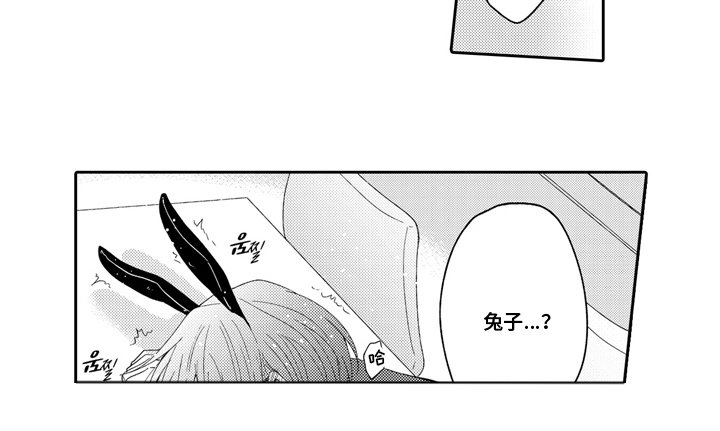 第3章：兔子