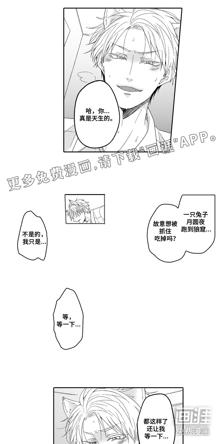 第4章：补偿