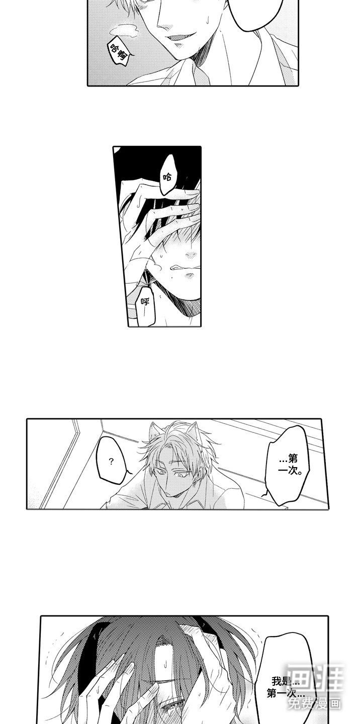 第4章：补偿