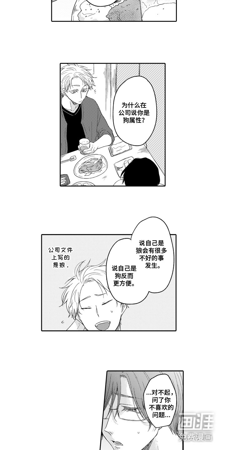 第5章：隐藏属性