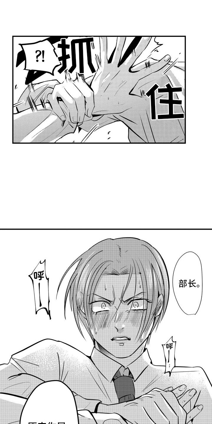 第3章：伴侣