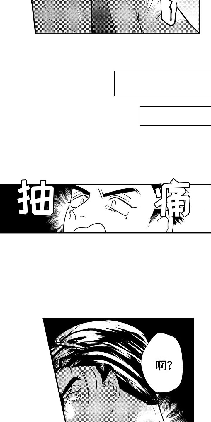 第3章：伴侣