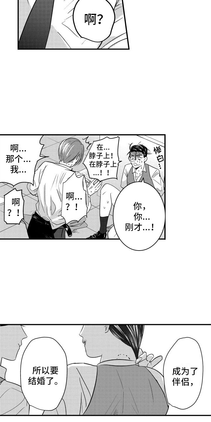 第3章：伴侣