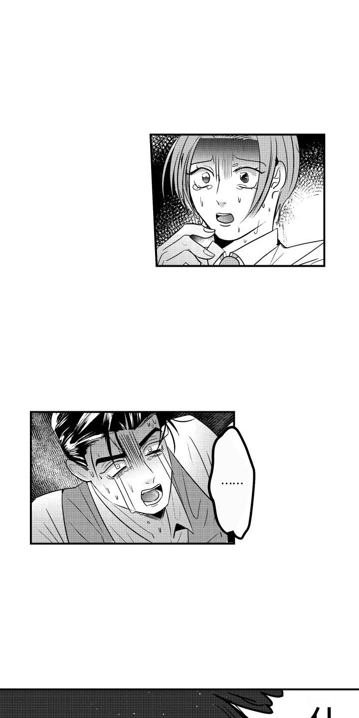 第3章：伴侣