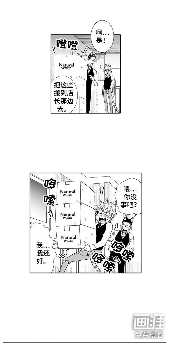 第16章：指名