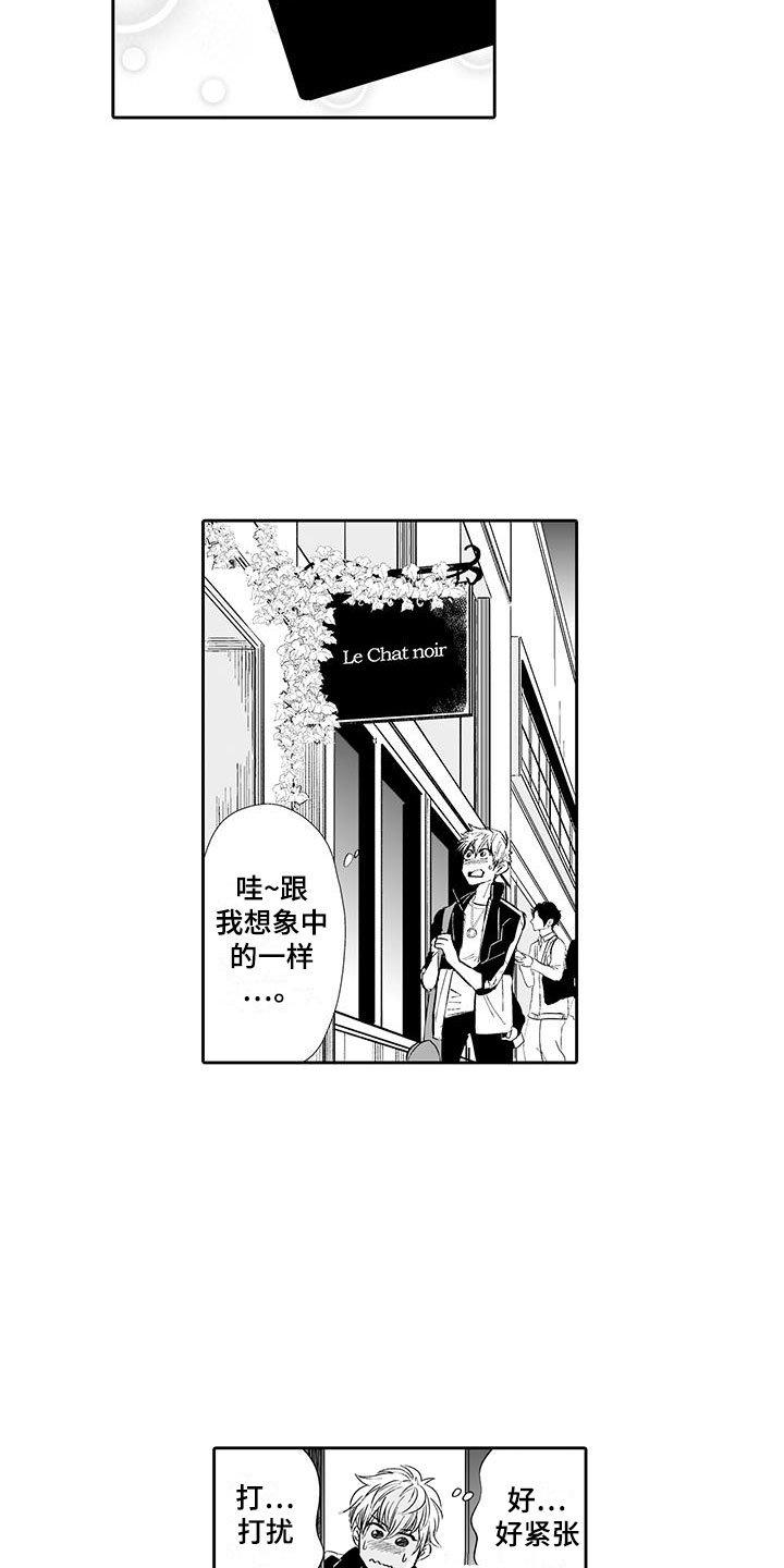 第2章：猫咪咖啡屋