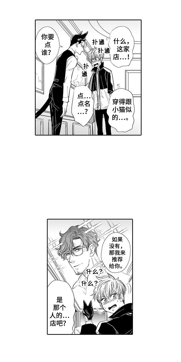 第2章：猫咪咖啡屋