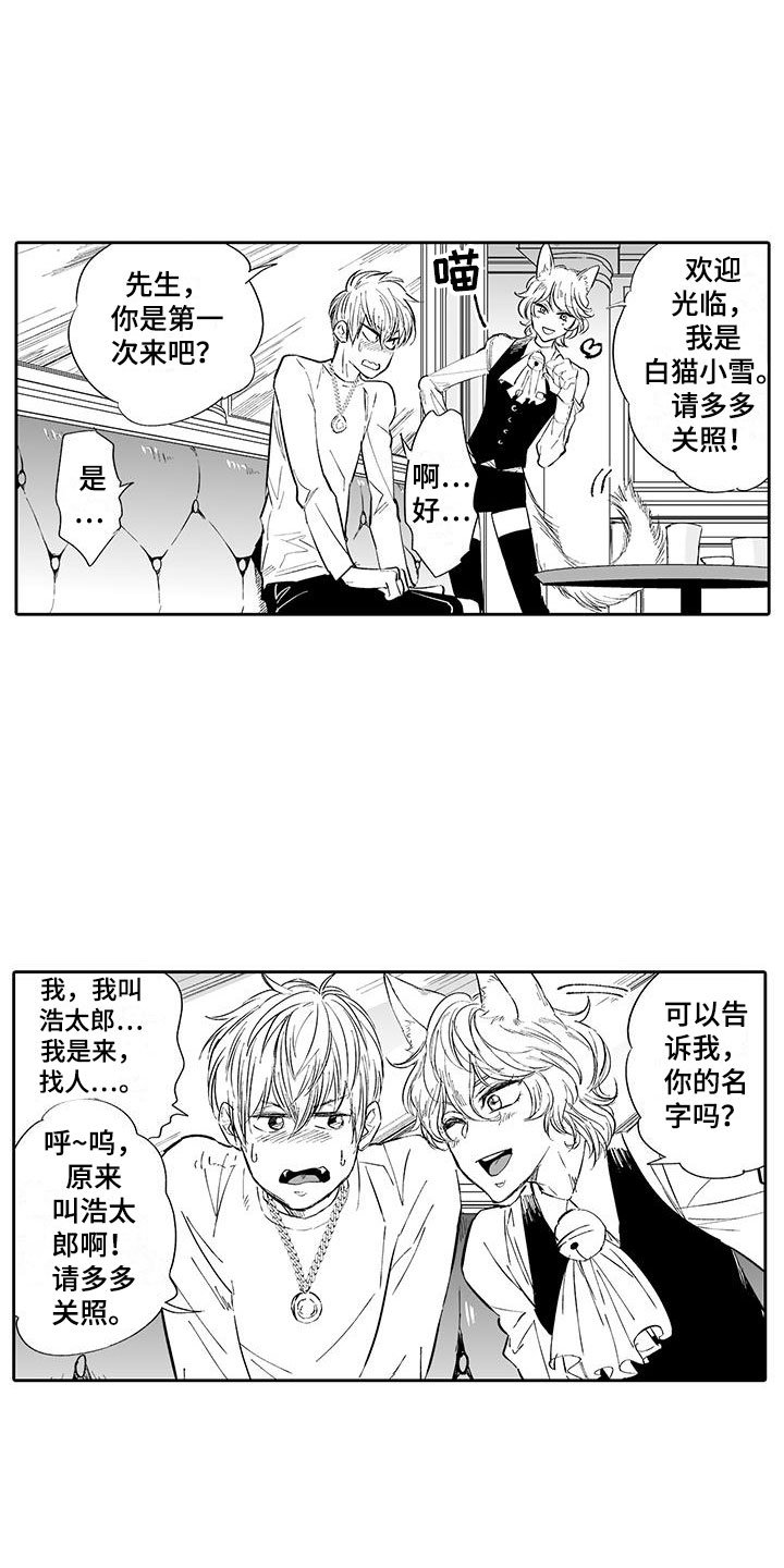 第2章：猫咪咖啡屋