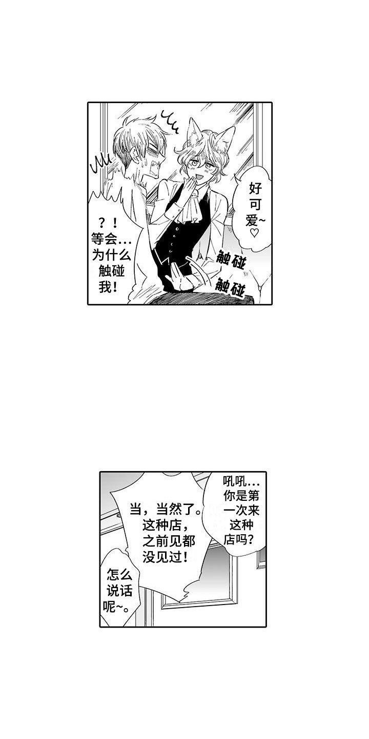 第2章：猫咪咖啡屋