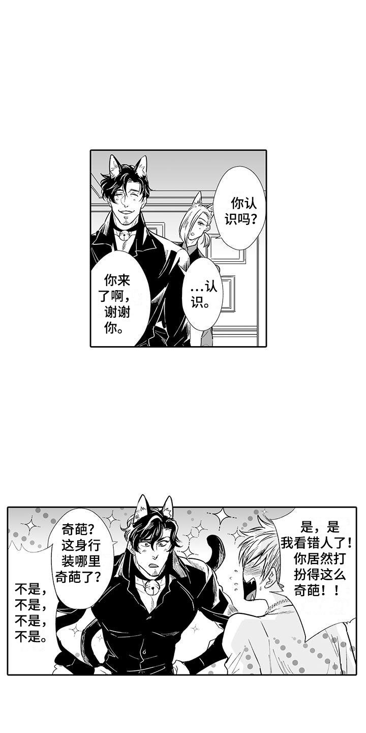 第2章：猫咪咖啡屋