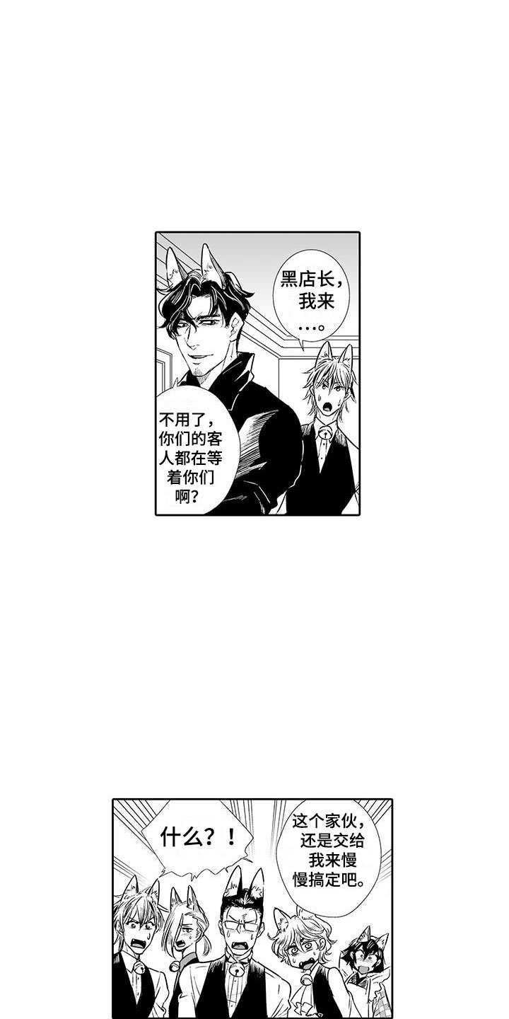 第2章：猫咪咖啡屋