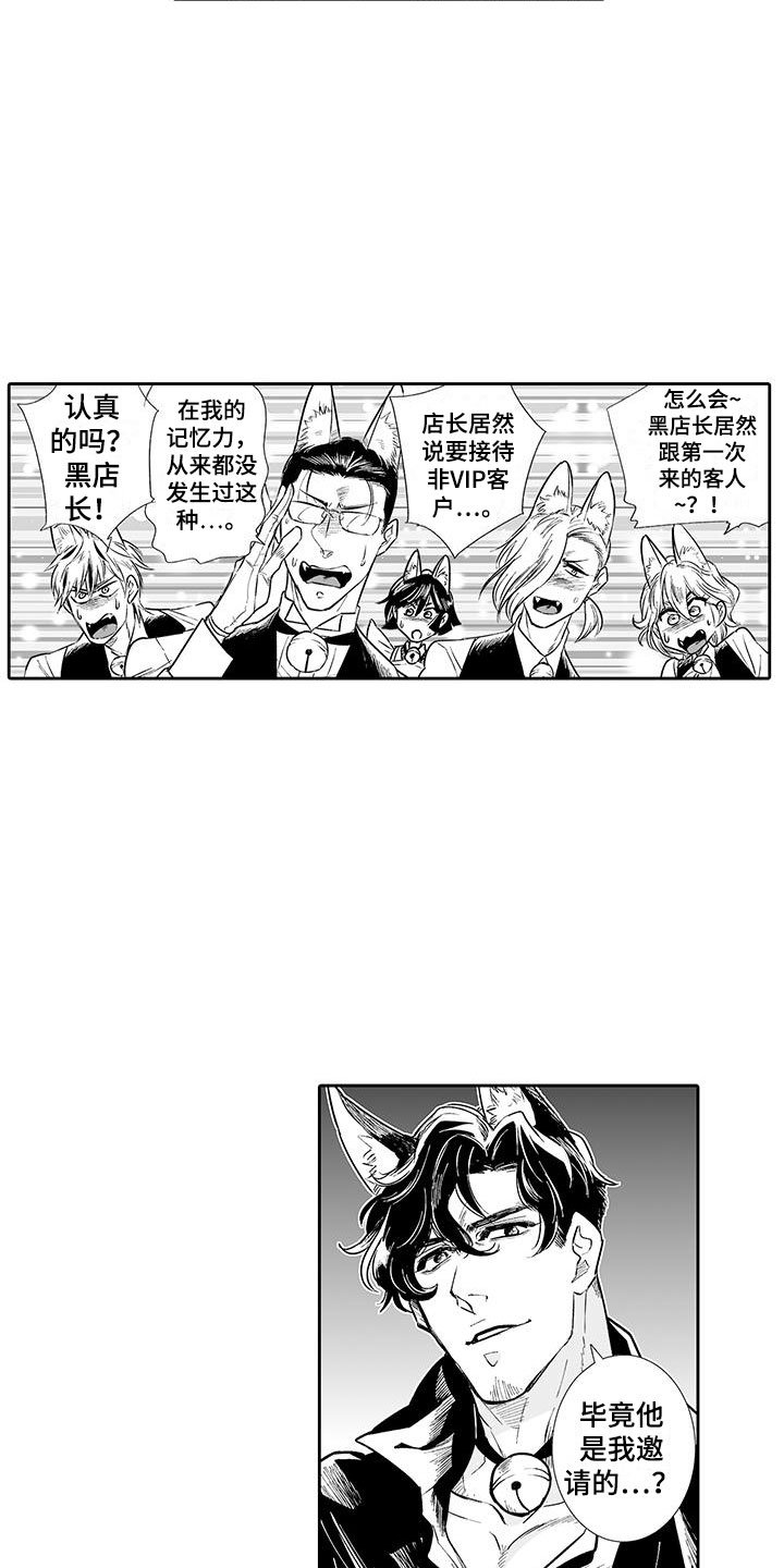 第2章：猫咪咖啡屋