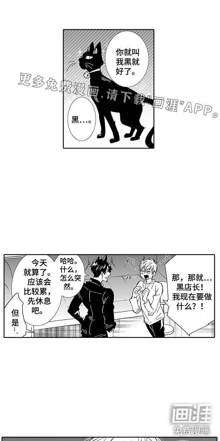 第5章：一起逛街吧
