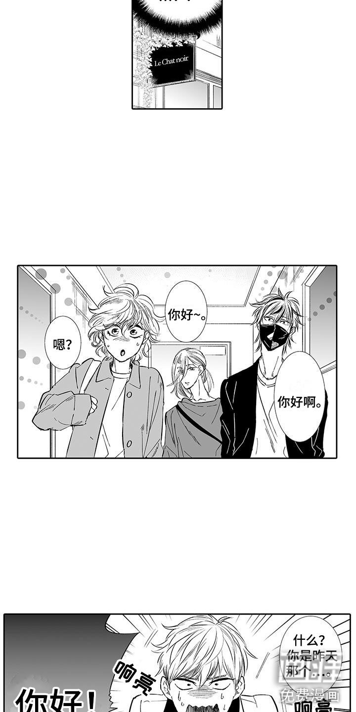 第6章：奶酪猫