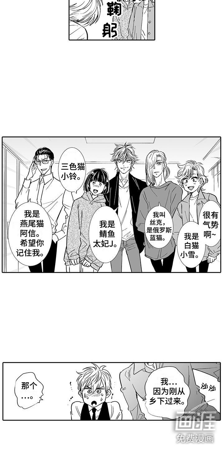 第6章：奶酪猫