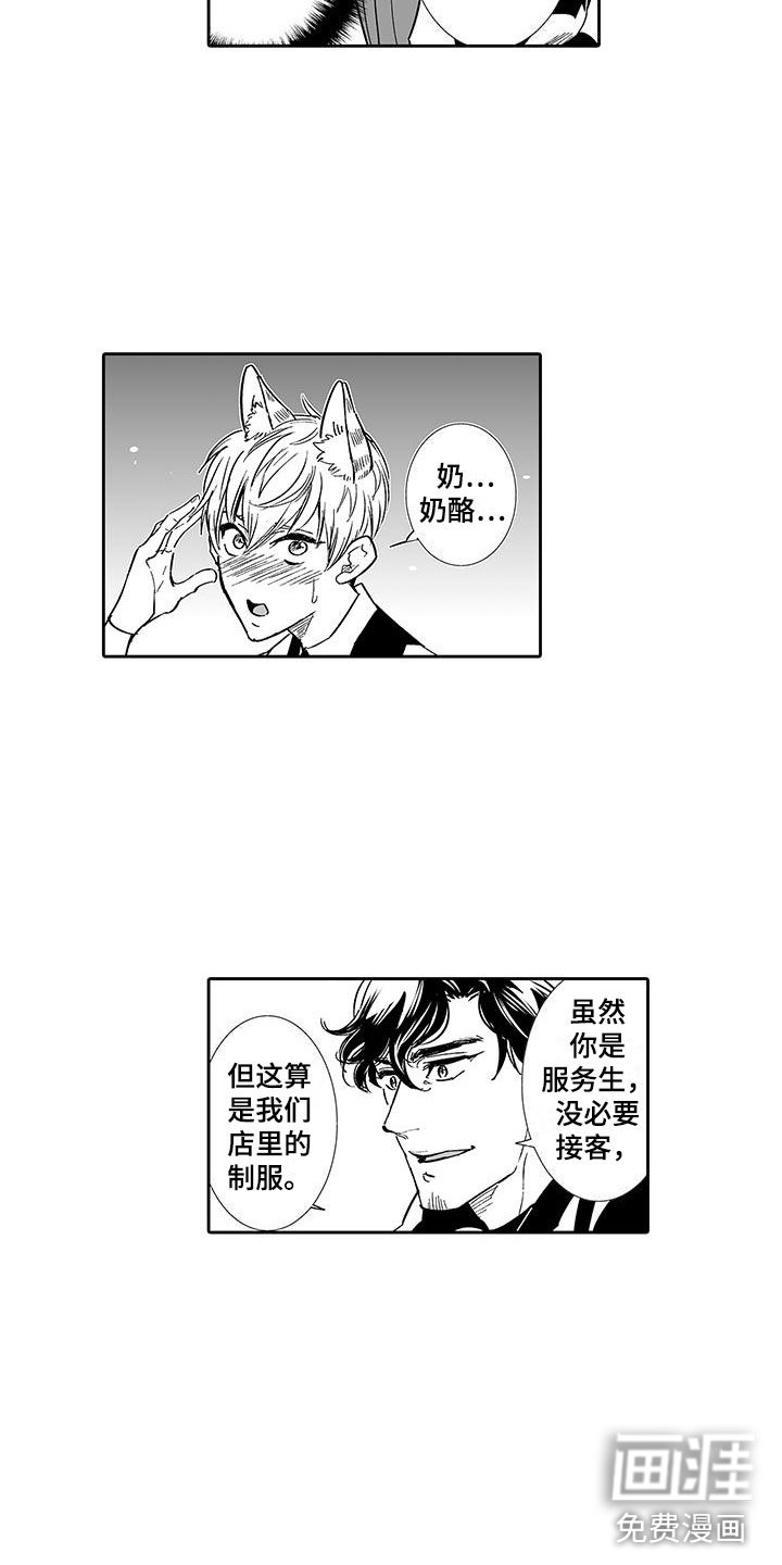第6章：奶酪猫