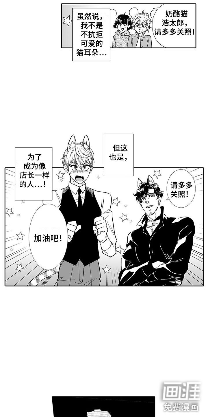 第6章：奶酪猫