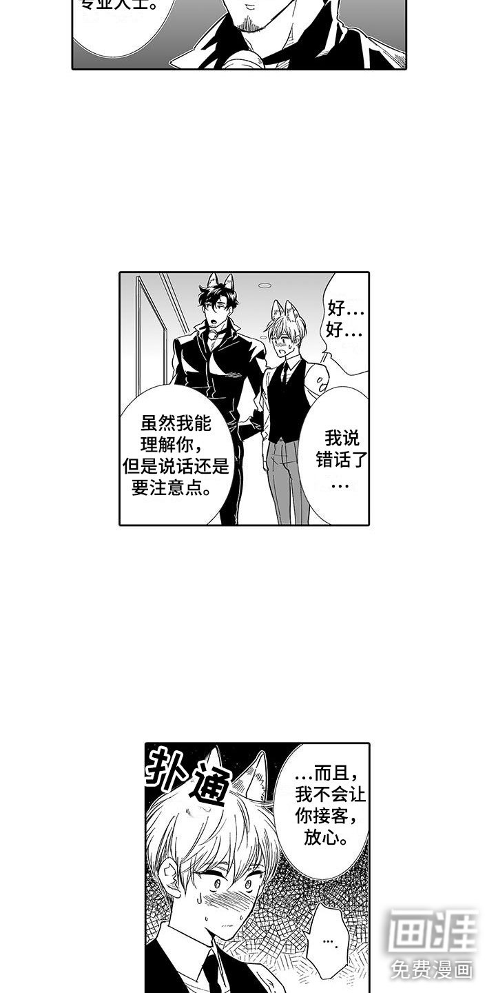 第6章：奶酪猫