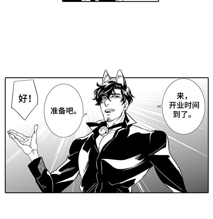 第6章：奶酪猫