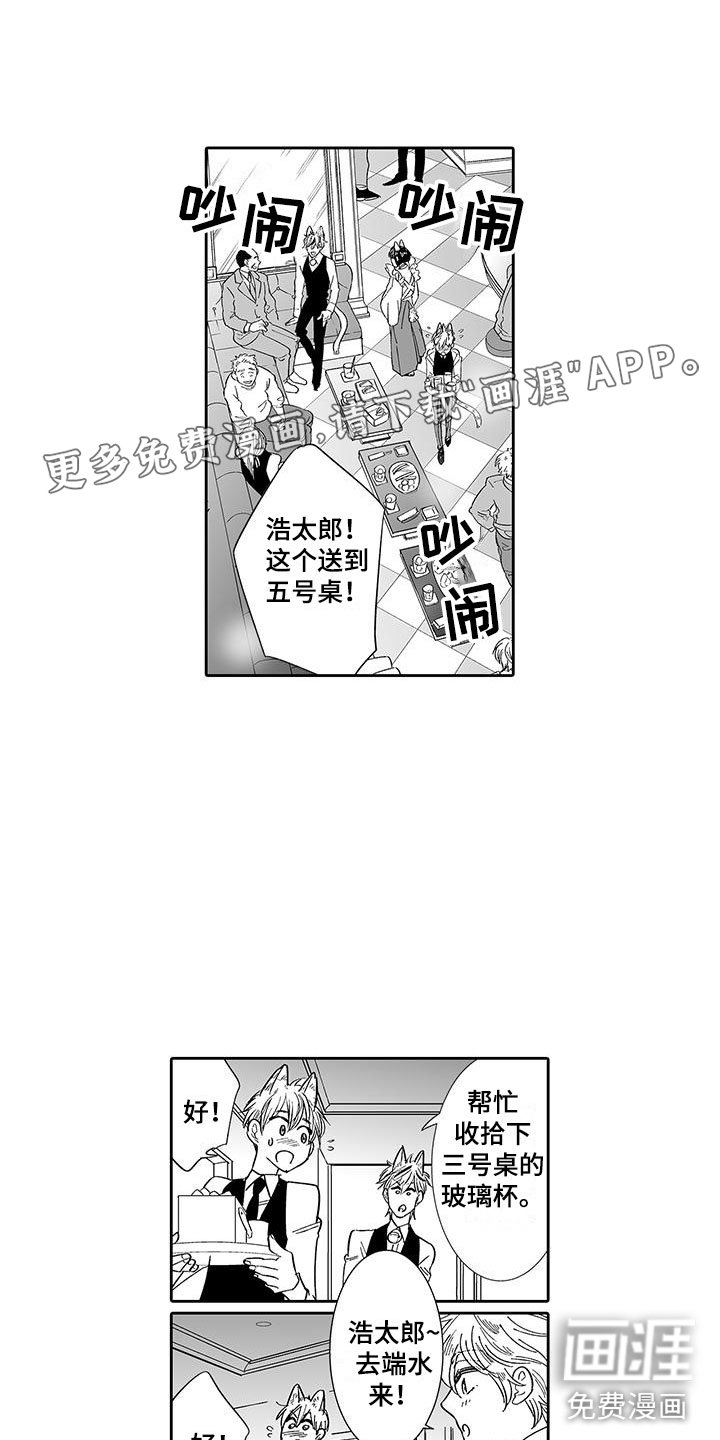 第7章：营业表演