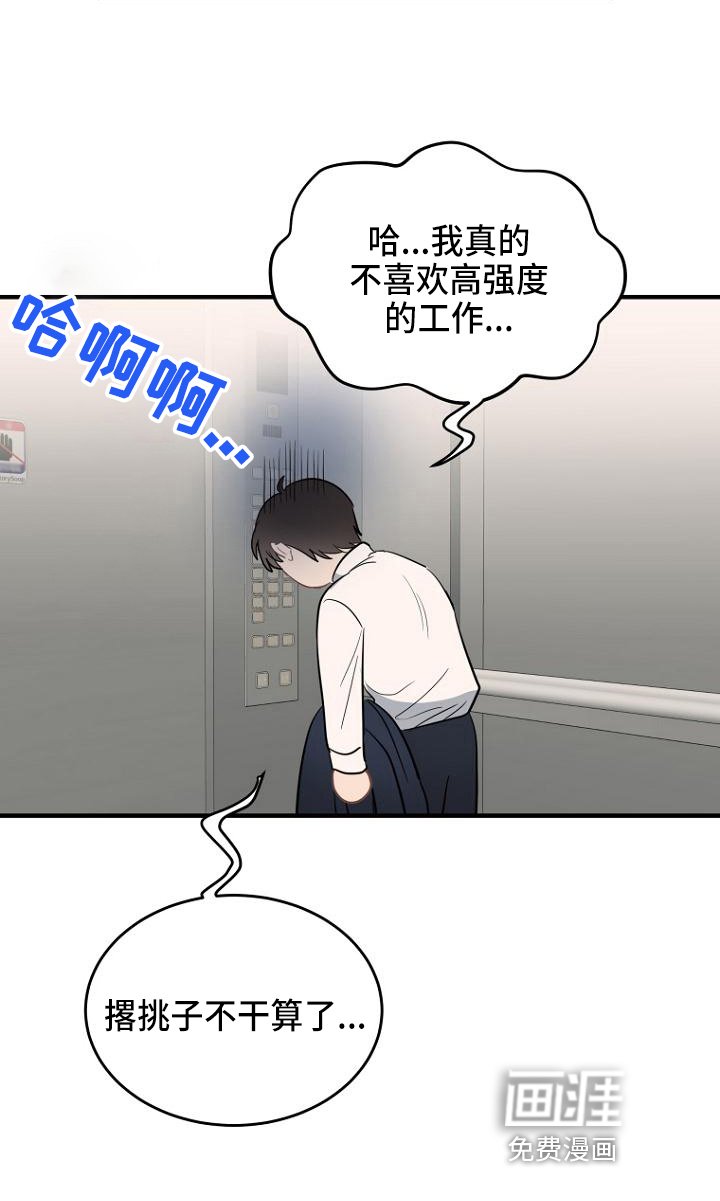 第11章：布置
