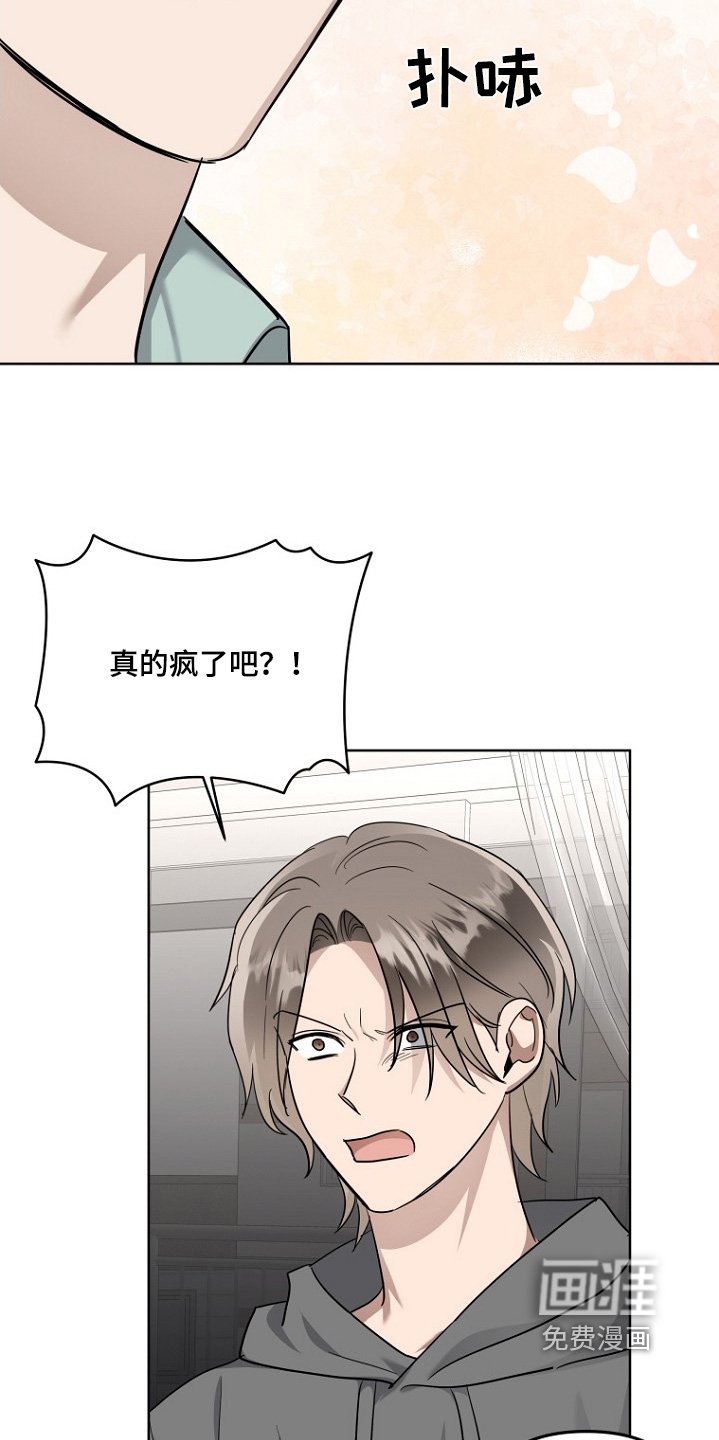 第117章：真心喜欢你