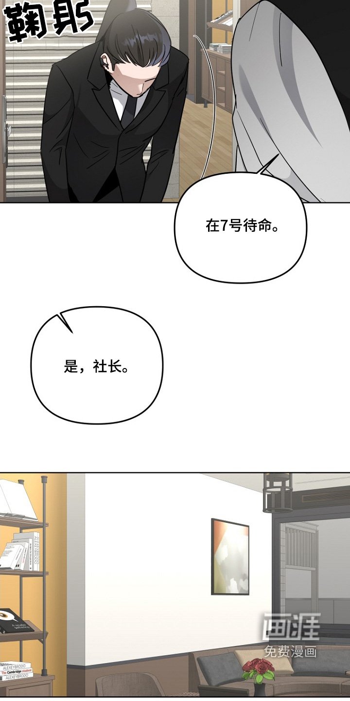 第118章：哥的选择呢