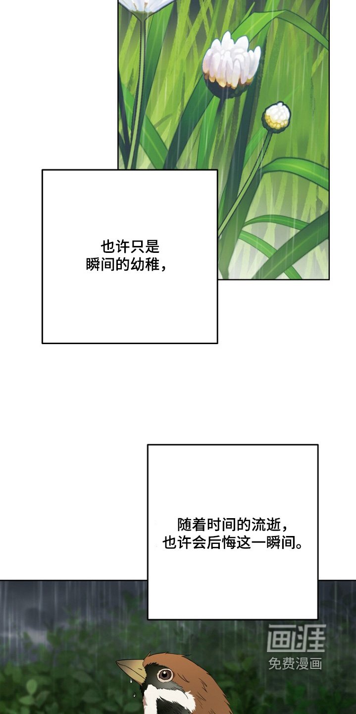 第123章：最后告白