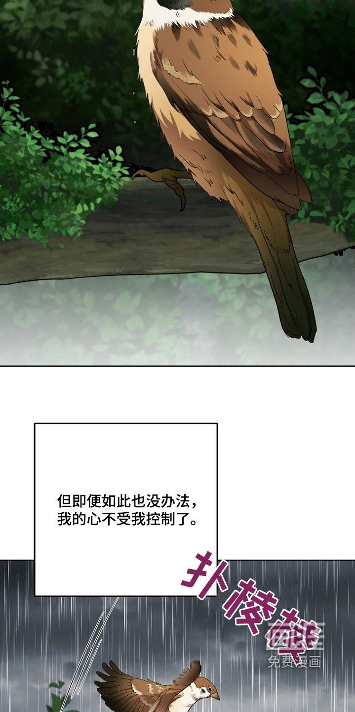 第123章：最后告白