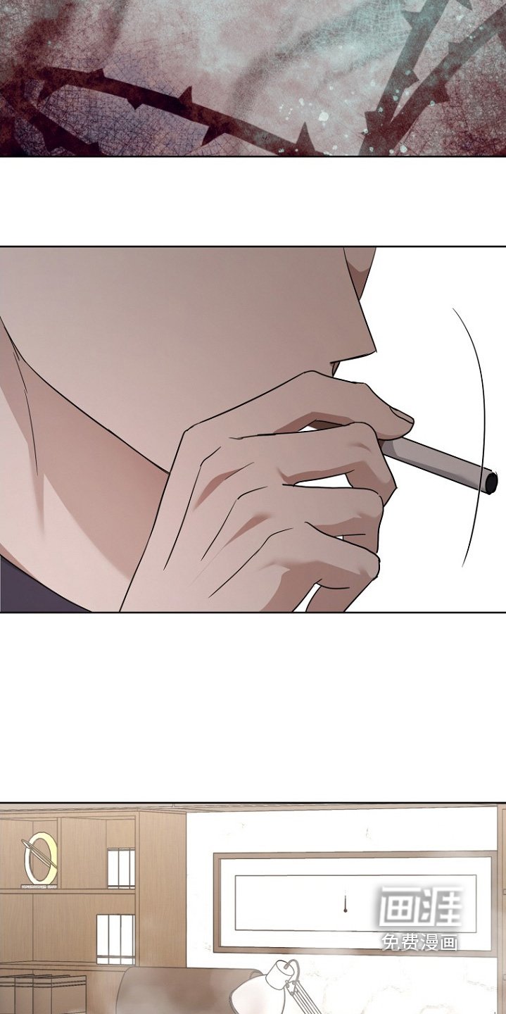 第137章：我喜欢你